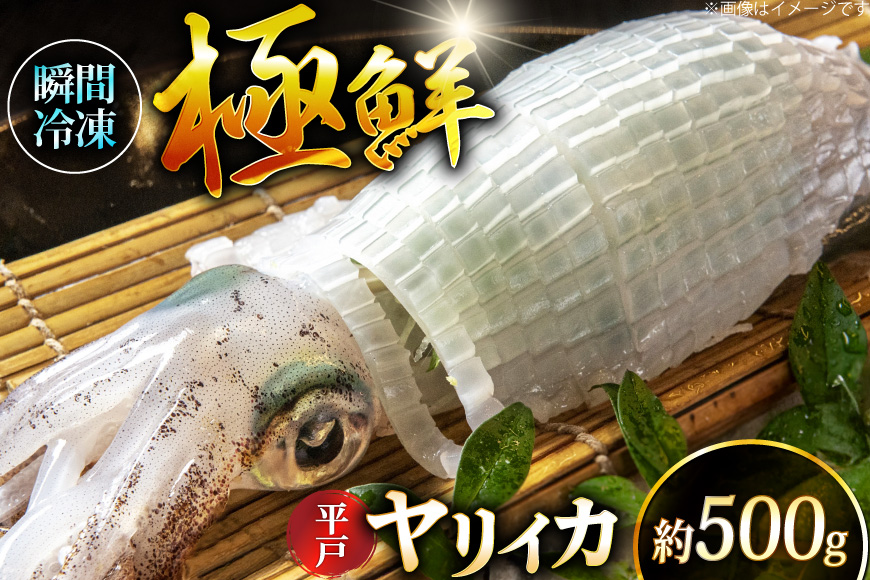 イカ 刺身 極鮮ヤリイカ 約500g [海隆丸 長崎県 平戸市 hr42bgy400118] ヤリイカ 新鮮 海鮮 魚介 瞬間冷凍 冷凍 コリコリ 直送 冷凍 個包装 真空パック
