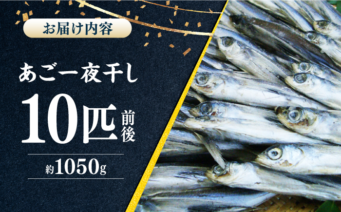 【口に広がる豊かな風味】あご一夜干し 約1050g（10匹前後）平戸市 / 森崎水産 [KAD307]