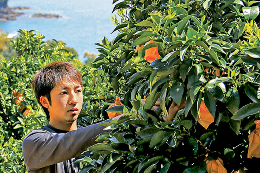 果物 オレンジ 果樹園からの贈り物 4種 セット [善果園 長崎県 平戸市 hr42bgy420171] みかん ジュース マーマレード ゆず茶