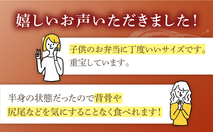 【全3回定期便】【ふっくらジューシー】おうごんアジフライ 40枚入（20枚×2袋） 平戸市/しばやま水産 [KAB296] [KAB296]