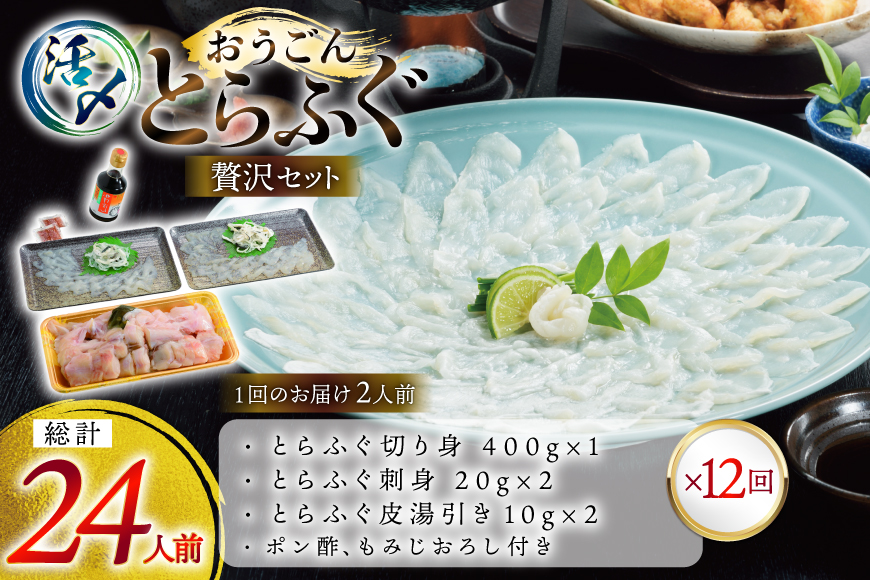 ふぐ 刺身 ふぐ鍋セット 活〆 おうごんとらふぐ 贅沢 セット 2人前 12回 定期便 [松永水産 長崎県 平戸市 hr42bgy400016] ふぐ刺し とらふぐ フグ 河豚 てっさ てっちり ふぐ鍋 湯引き 魚介 さかな お刺身 刺身用 さしみ 冷凍 海鮮