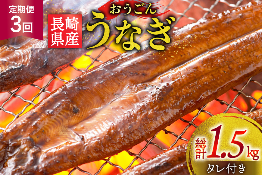 うなぎ 国産 蒲焼 長崎県産 おうごんうなぎ 約500g 3尾〜4尾 3回 定期便 総計 約1.5kg [松永水産 長崎県 平戸市 hr42bgy400110] 鰻 うな重 うな丼 ひつまぶし 蒲焼き かばやき タレ付き 養殖 国内産 冷凍 unagi