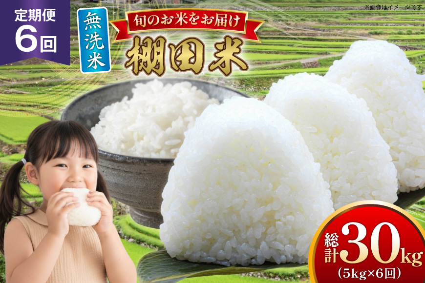 米 令和7年 無洗米 棚田米 5kg 6回 定期便 総計30kg [ひらど新鮮市場 長崎県 平戸市 hr42bgy400194] 令和7年産 コメ こめ ごはん ご飯 白米 精米