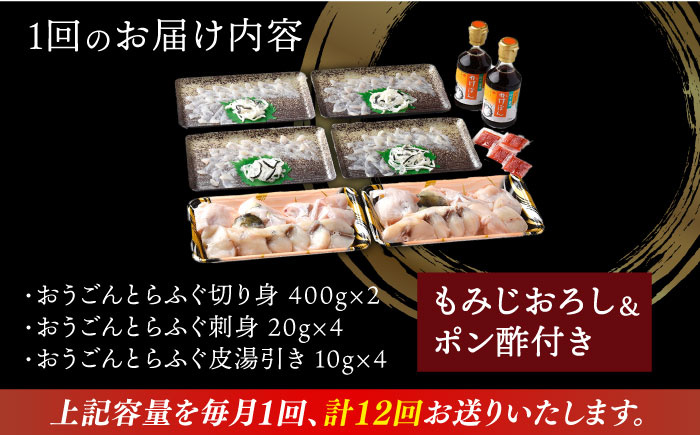 【全12回定期便】【着日指定 可能】活〆おうごんとらふぐ プレミアムセット（4人前）平戸市 / 松永水産 [KAB275]