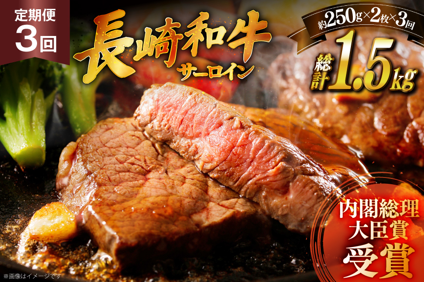 和牛 ステーキ 長崎和牛 サーロイン 250g 2枚 ソース付き 12回 定期便 計6kg [萩原食肉産業 長崎県 平戸市 hr42bgy410030] 肉 牛肉 焼肉 にく 平戸 希少 鉄板焼き