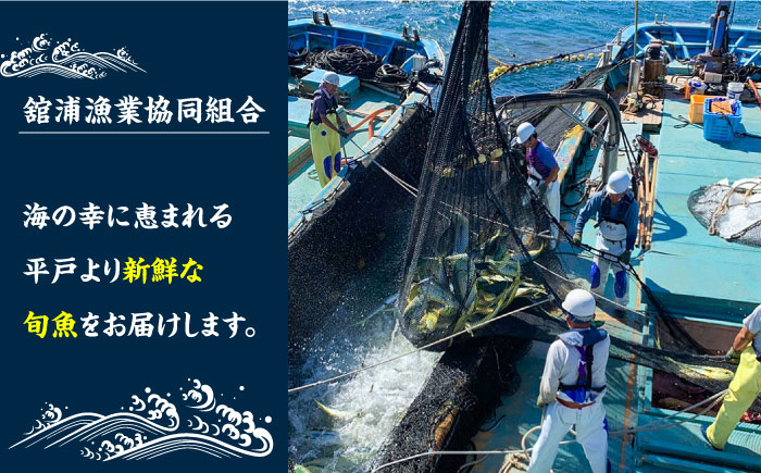 【6回定期便】【漁協直送！】獲れたて旬魚の柵2種セット（刺身1種&イカ1種）（2〜3人前）【舘浦漁業協同組合】 [KAA635]