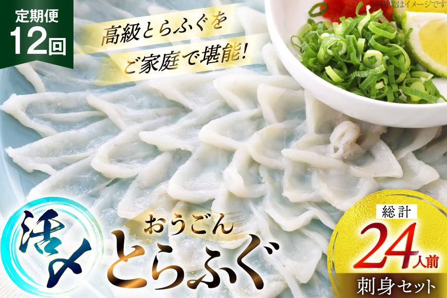 ふぐ 刺身 セット 活〆 おうごんとらふぐ 刺身セット 2人前 12回 定期便 [松永水産 長崎県 平戸市 hr42bgy400015] ふぐ刺し とらふぐ フグ 河豚 てっさ 魚介 さかな お刺身 刺身用 さしみ 冷凍 湯引き 海鮮 切り身