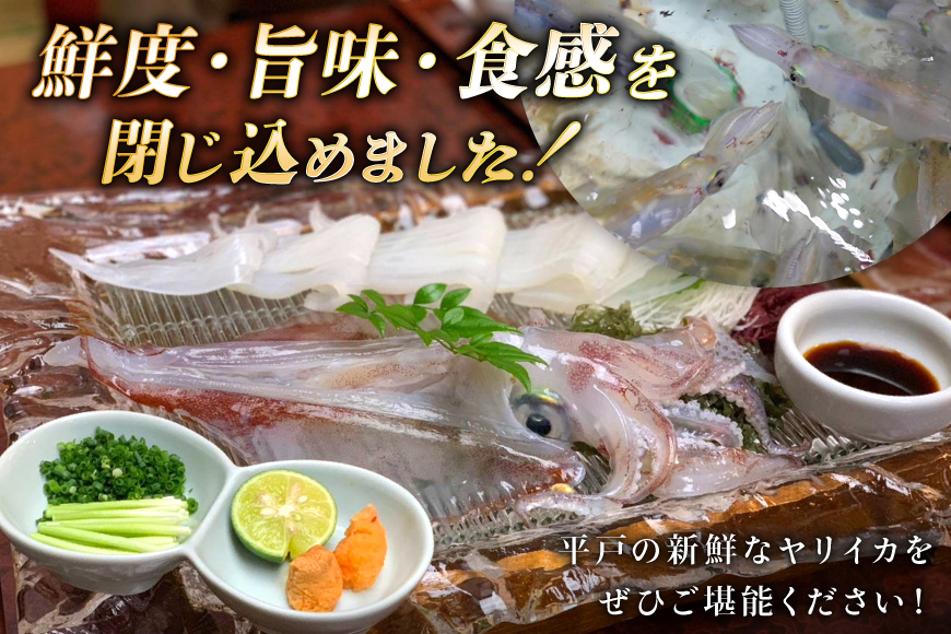 イカ 刺身 極鮮ヤリイカ 約500g [海隆丸 長崎県 平戸市 hr42bvk550000] ヤリイカ 新鮮 海鮮 魚介 瞬間冷凍 冷凍 コリコリ 直送 冷凍 個包装 真空パック