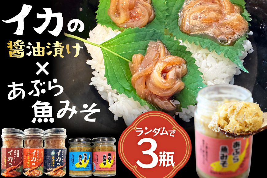 ご飯のお供 あぶらみそ イカ 醤油漬け 3本 ランダムでお届け [康貴丸水産 長崎県 平戸市 hr42bgy400203] お取り寄せ おにぎり おかず 具材 油味噌 魚 さかな 塩辛