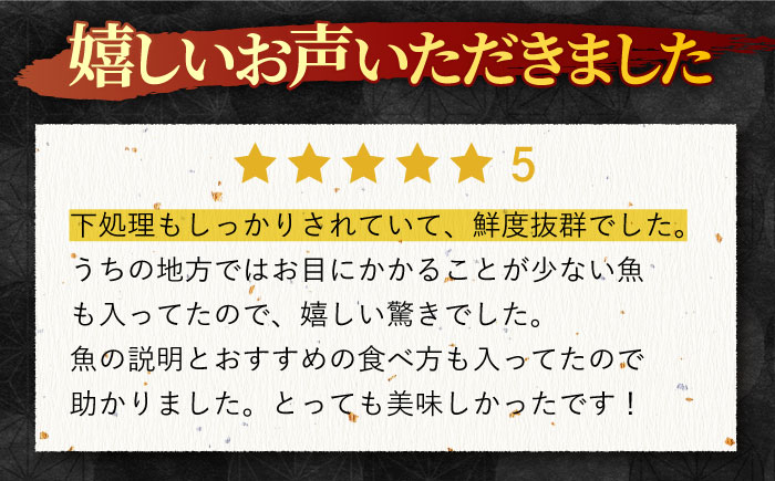 ＜10月発送＞平戸地魚詰合せ 4-6尾【平戸瀬戸市場協同組合】[KAA153]/ 長崎 平戸 魚介類 魚 鮮魚 内臓処理 下処理 鯛 イサキ カワハギ かわはぎ 鯵 アジ あじ 刺身 しゃぶしゃぶ 煮つけ