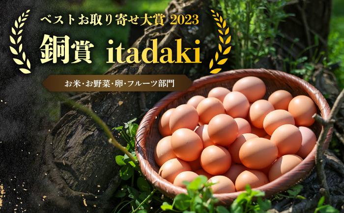 【6回定期便】平戸 平飼い放牧 卵 itadaki 144個(24個×6回)【ナチュラルエッグラボ】[KAA256]/ 長崎 平戸 卵 純国産 鶏 平飼い もみじ