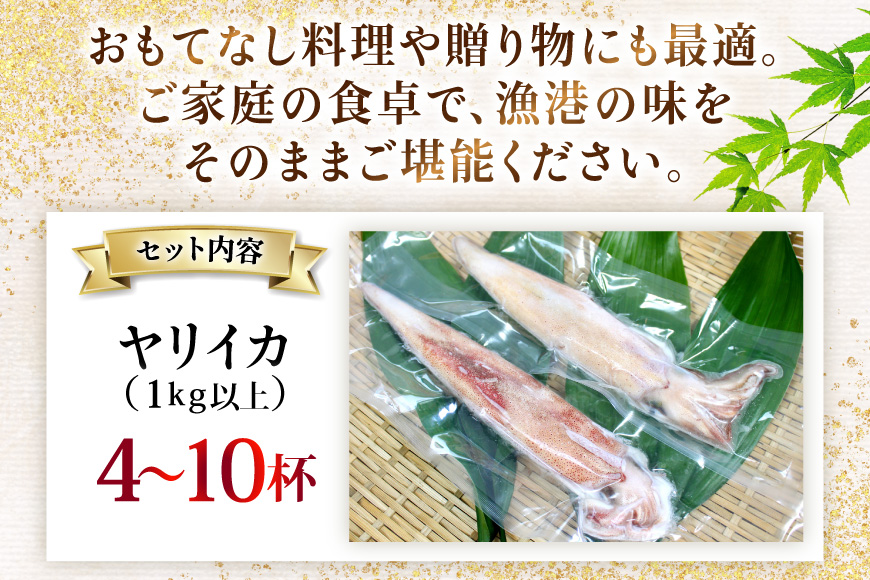 イカ 刺身 極鮮ヤリイカ 約1kg [海隆丸 長崎県 平戸市 hr42bgy400122] おつまみ ヤリイカ 新鮮 海鮮 魚介 瞬間冷凍 冷凍 コリコリ 直送 冷凍 個包装 真空パック