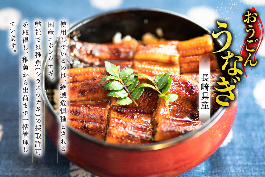 うなぎ 国産 蒲焼 長崎県産 おうごんうなぎ 約300g 1尾〜3尾 [松永水産 長崎県 平戸市 hr42bgy400221] 鰻 うな重 うな丼 ひつまぶし 蒲焼き かばやき タレ付き 養殖 国内産 1尾 3尾 冷凍 unagi