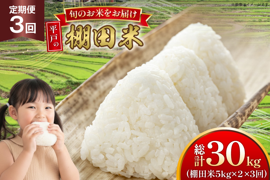 米 令和7年 棚田米 5kg 2袋 計 10kg 3回 定期便  総計30kg [ひらど新鮮市場 長崎県 平戸市 hr42bgy400181] 令和7年産 コメ こめ ごはん ご飯 こしひかり ひのひかり にこまる