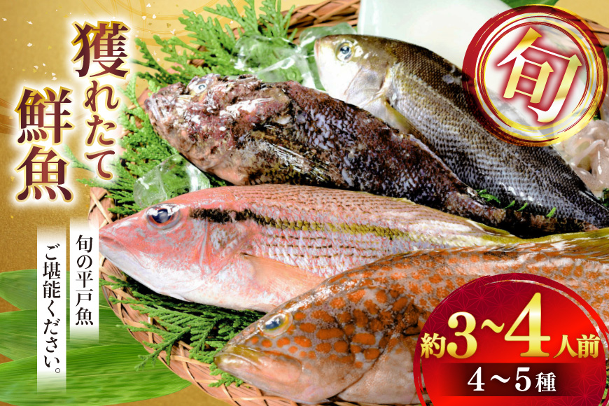 鮮魚 詰め合わせ 旬の獲れたて鮮魚 4種 〜 5種  [ひらど新鮮市場 長崎県 平戸市 hr42bgy400123] 冷凍 冷凍便 直送 鮮魚セット 鮮魚詰め合わせ 海鮮 魚介 魚介類 新鮮 魚 さかな