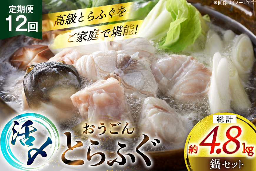 ふぐ 鍋 セット 活〆 おうごんとらふぐ 鍋セット 約400g 12回 定期便 総計 約4.8kg [松永水産 長崎県 平戸市 hr42bgy400160] とらふぐ フグ 河豚 てっちり ふぐちり ふぐ料理 魚介 さかな 切り身 冷凍 海鮮 ふぐ鍋 唐揚げ ポン酢