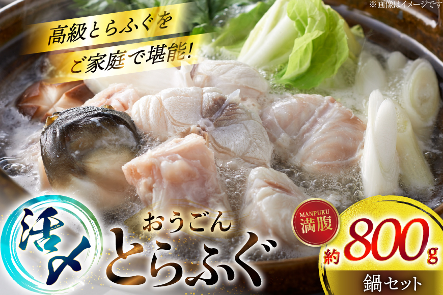 ふぐ 鍋 セット 活〆 おうごんとらふぐ 満腹 鍋セット 約800g [松永水産 長崎県 平戸市 hr42bgy400186] とらふぐ フグ 河豚 てっちり ふぐちり ふぐ料理 魚介 さかな 切り身 冷凍 海鮮 ふぐ鍋 唐揚げ ポン酢