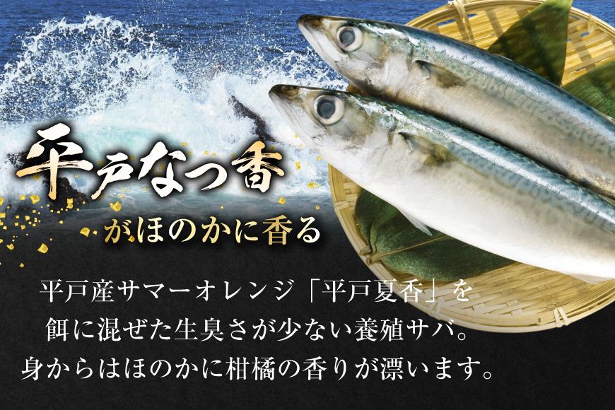 鯖 刺身 平戸なつ香 サバ 約500g 2尾 [（株）坂野水産 長崎県 平戸市 hr42bgy420201] さば 魚介 さかな 刺身用 さしみ 冷蔵 おかず フルーツ魚  夏香 なつ香 鮮魚 海鮮 鍋 海鮮丼 しめさば おかず 簡単調理 下処理済