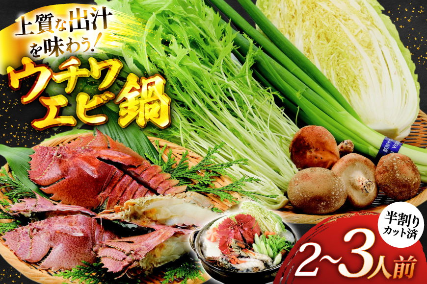 鍋セット 海鮮 平戸ウチワエビ鍋セット 安心の地元 野菜付 2〜3人前 [ひらど新鮮市場 長崎県 平戸市 hr42bgy400154] 詰め合わせ エビ 海鮮 鍋 海鮮セット 海鮮グルメ 海鮮鍋 ウチワエビ