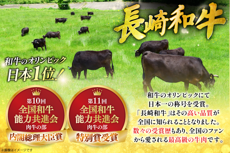 牛肉 長崎和牛 焼肉 約250g [萩原食肉産業 長崎県 平戸市 hr42bgy410247] 肉 お肉 和牛 国産 小分け パック 便利 冷凍  肩ロース ロース ブランド 平戸牛 国産牛 焼き肉 BBQ