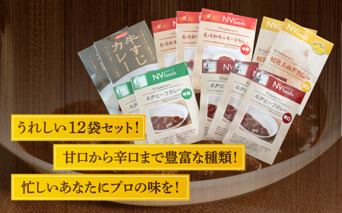 【全12回定期便】【カレー好きのためのアソートセット】カレー工房NVfoodsのカレー5種（12袋）詰め合わせセット [KAB290]