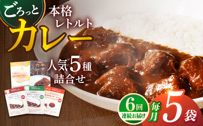 【全6回定期便】【カレー好きの為のアソートセット】カレー工房NVfoodsのカレー5種詰め合わせセット [KAB292]