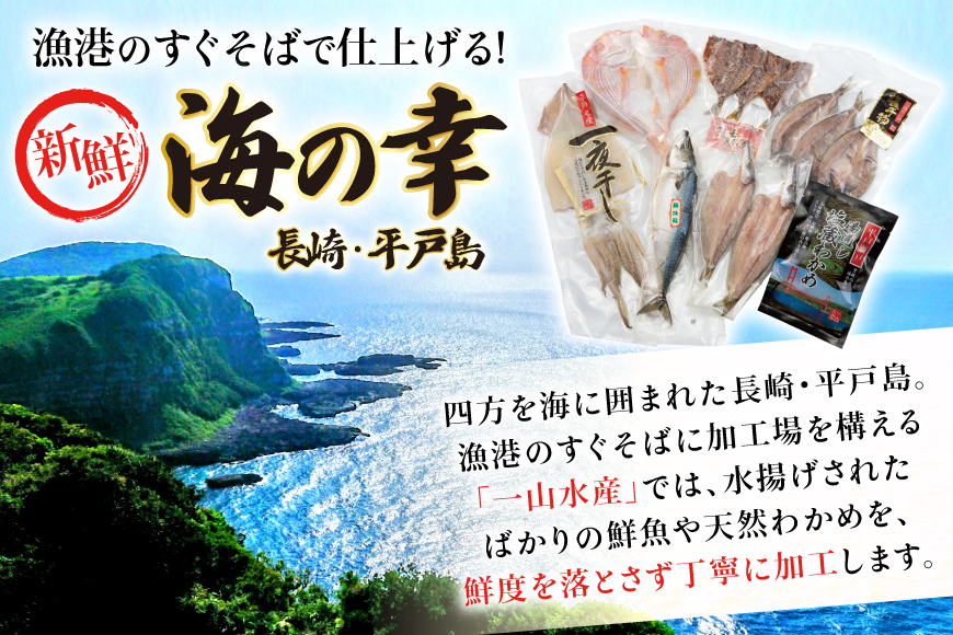 干物 平戸 豪華 6種 詰合せ ＆ 天然 塩わかめ セット 11枚 6回 定期便 総計 66枚 食べ比べ [一山水産 長崎県 平戸市 hr42bgy400125] あじ アジ さば サバ いか イカ タイ 鯛 ワカメ 国産 おかず