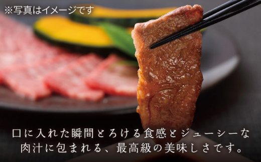 【3回定期便】長崎和牛 ロース 焼肉用 約600g【萩原食肉産業有限会社】[KAD153]/ 長崎 平戸 肉 牛 牛肉 黒毛和牛 和牛 焼肉 ロース 冷蔵 定期便