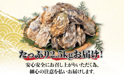 平戸産殻付生牡蠣約2.5kg【北川水産】[KAB171]