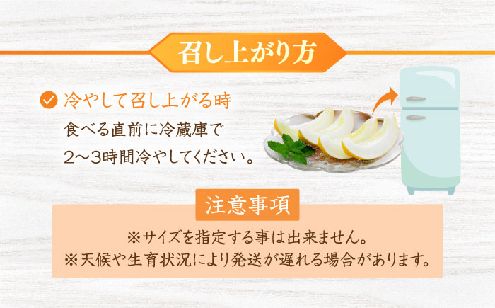 【先行予約】最高糖度15度で甘味たっぷり平戸産メロンイエローキング合計5kg前後3〜9玉【株式会社ひらど新鮮市場】[KAB200]