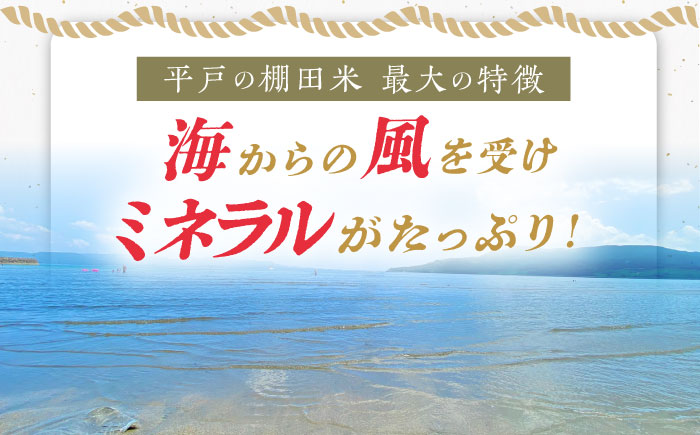 【全6回定期便】【着日指定 可能】【潮風で育った新鮮米】平戸の棚田米（無洗米）約5kg 平戸市 / ひらど新鮮市場 [KAB238]