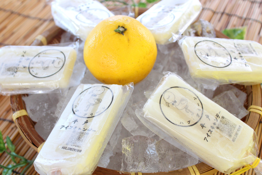 アイスキャンディー ギフト シャーベット オレンジ アイス 平戸夏香のアイスキャンデー 10本 100ml/本 [ハレルヤ合同会社 長崎県 平戸市 hr42bgy400139] スイーツ みかん ミカン 蜜柑 お取り寄せ お礼 プレゼント
