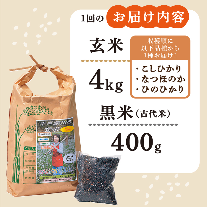 【6回定期便】平戸の健康 玄米 4kg・黒米 400g【エコファーム永田】[KAB176]/ 長崎 平戸 玄米 米 黒米 こしひかり コシヒカリ なつほのか ひのひかり ヒノヒカリ 定期便