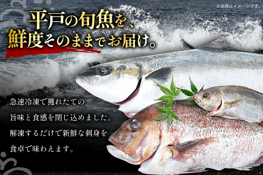 魚 刺身 刺身用 ブロック 3種 3回 定期便 総計 約3.6kg [百旬館 長崎県 平戸市 hr42bhb460015] お刺身 さしみ 鮮魚 ブロック 冷凍 ヒラス ぶり ブリ 鰤 鯛