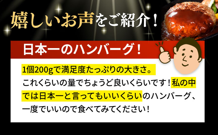 【3回定期便】A5ランク特選 平戸和牛 ハンバーグ 約200g×4個【萩原食肉産業有限会社】[KAD131]/ 長崎 平戸 肉 牛 牛肉 黒毛和牛 和牛 ハンバーグ 冷凍