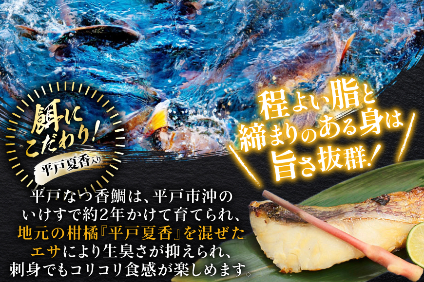 魚 タイ 漬け 平戸なつ香鯛 漬け×2本 味噌漬け×5枚 セット [末弘丸 長崎県 平戸市 hr42bgy420229] 漬け お茶漬け 味噌漬け 夏香 平戸夏香 海鮮 魚介 あごだし ご飯のお供 おつまみ ギフト