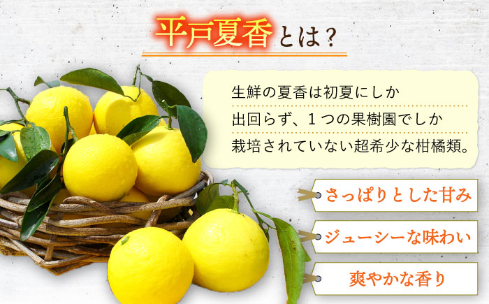 【全3回定期便】【着日指定 可能】【さっぱり・さわやか】平戸夏香のアイスキャンデー 10本詰合せ 平戸市 [KAB258]