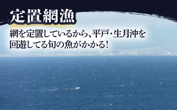 旬の朝獲れ鮮魚約5kg【綾香水産】[KAC016]/ 長崎 平戸 刺身 たたき 刺身 塩焼き 刺身 煮付け 刺身 しゃぶしゃぶ 刺身 アレンジ 刺身 冷凍 刺身 国産 刺身 長崎 刺身