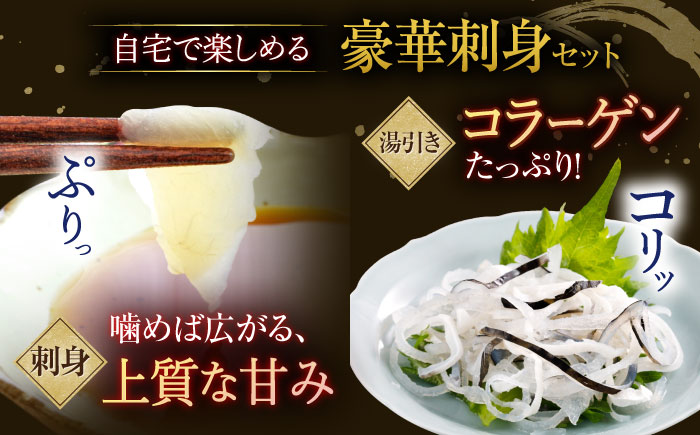 【全6回定期便】【着日指定 可能】活〆おうごんとらふぐ 刺身 セット（3人前） 平戸市 / 松永水産 [KAB277]