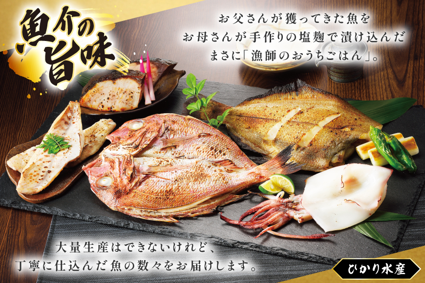 漬け魚 漬魚 塩麹 塩こうじ 魚介 詰め合わせ 12回 定期便 ひかりの塩麹 5種 セット [ひかり 長崎県 平戸市 hr42bgy420400] お茶漬け 焼き魚 焼魚 鯛 鯛めし ヤリイカ 海鮮 漬け づけ 漬け丼 鮮魚 お取り寄せ ギフト 魚 切り身 冷凍 真空 真空パック 個包装 小分け お取り寄せ