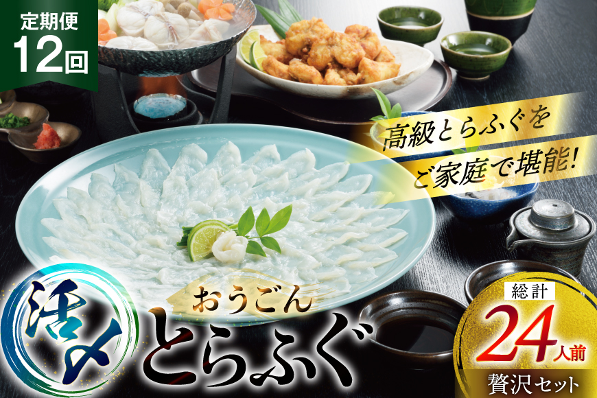 ふぐ 刺身 ふぐ鍋セット 活〆 おうごんとらふぐ 贅沢 セット 2人前 12回 定期便 [松永水産 長崎県 平戸市 hr42bgy400016] ふぐ刺し とらふぐ フグ 河豚 てっさ てっちり ふぐ鍋 湯引き 魚介 さかな お刺身 刺身用 さしみ 冷凍 海鮮