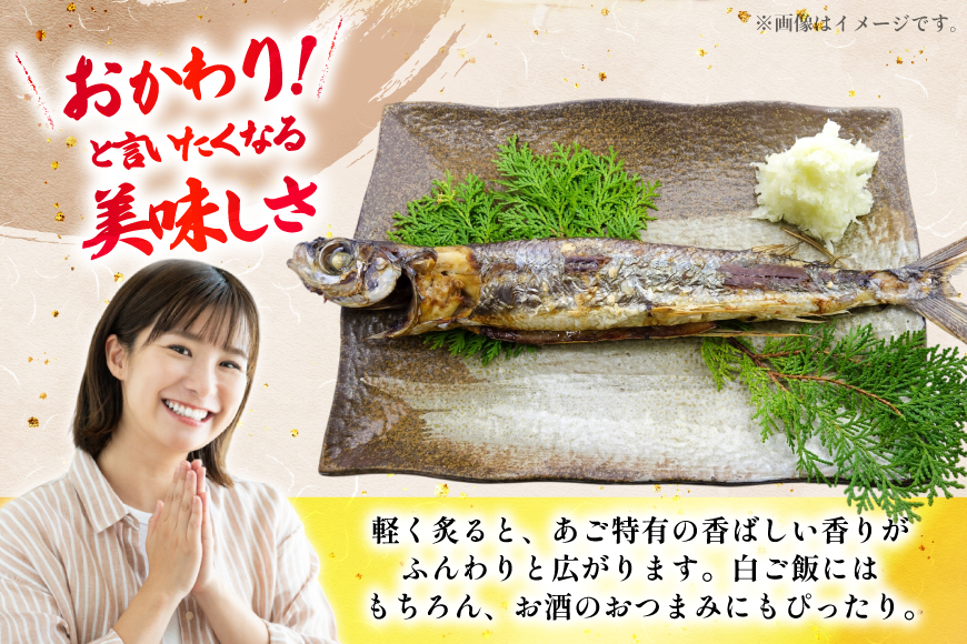 干物  あご 一夜干し 約 900g 8匹 前後 [森崎水産 長崎県 平戸市 hr42bgy410050] さかな おつまみ 一品 