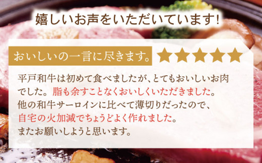 【6回定期便】特選 平戸和牛 サーロインステーキ 約250g×2枚【萩原食肉産業有限会社】[KAD115]/ 長崎 平戸 肉 牛 牛肉 黒毛和牛 和牛 焼肉 ステーキ サーロイン 冷蔵  定期便