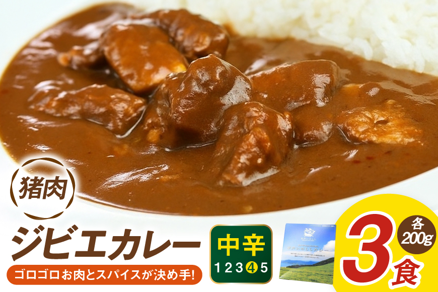 カレー スパイス 平戸 イノシシ カレー 3食 セット  [平戸ファクトリー 長崎県 平戸市 hr42bgy400062] カレーライス ライス レトルト 本格 いのしし 猪 シシ ジビエ 猪肉