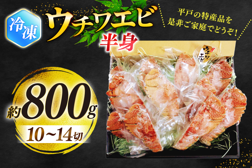 うちわえび エビ 海老 海鮮 冷凍 小分け ウチワエビ半身 約800g 10〜14切 [ひばり 長崎県 平戸市 hr42bgy420048] 魚介 海産物 鍋 刺身 刺し身 新鮮 国産 お取り寄せ