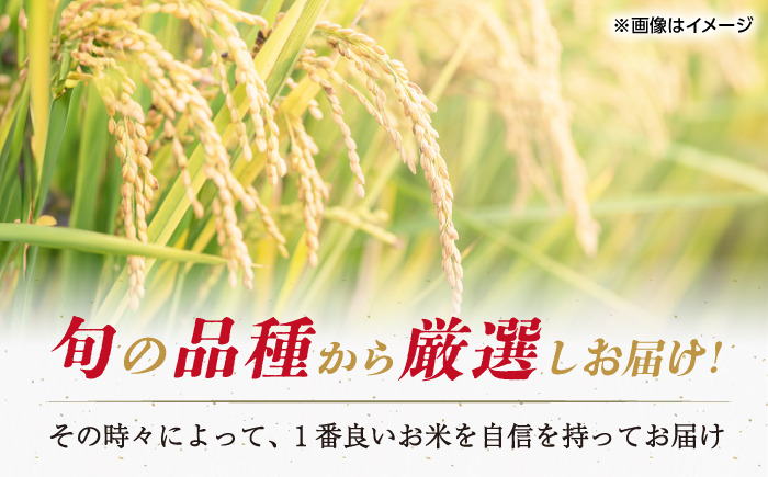 【着日指定 可能】平戸の潮風で育った新鮮無洗米（5kg） 平戸市 / ひらど新鮮市場  [KAB321] 