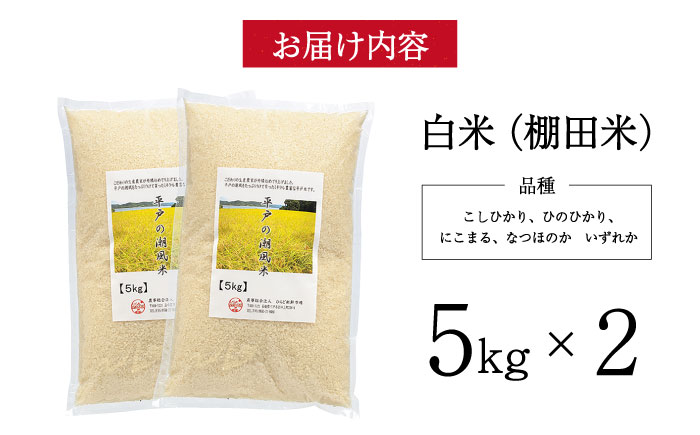 平戸の潮風で育った米10kg【株式会社ひらど新鮮市場】[KAB035]/ 長崎 平戸 米 精米 こしひかり ひのひかり にこまる なつほのか 小分け