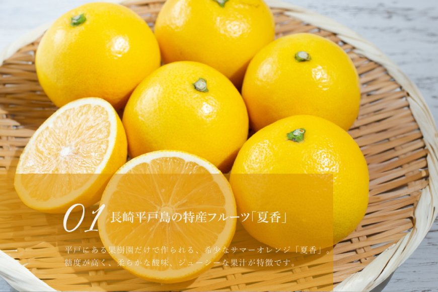 柑橘 スイーツ 夏香 チーズ タルト 1ホール 18cm [心優-Cotoyu Sweets- 長崎県 平戸市 hr42bjo490241] みかん オレンジ ケーキ チーズケーキ さわやか ご褒美 誕生日