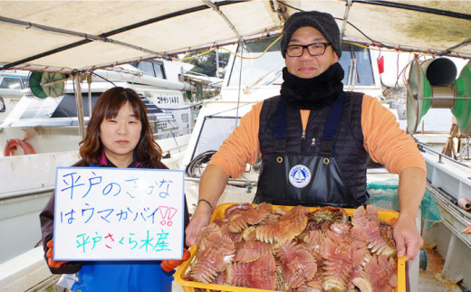 ひらめ&うちわ海老の刺盛セット 約160g【平戸さくら水産】[KAA215]/ 長崎 平戸 魚介類 魚 刺身 ひらめ ヒラメ 特産 海老 えび エビ ウチワエビ 