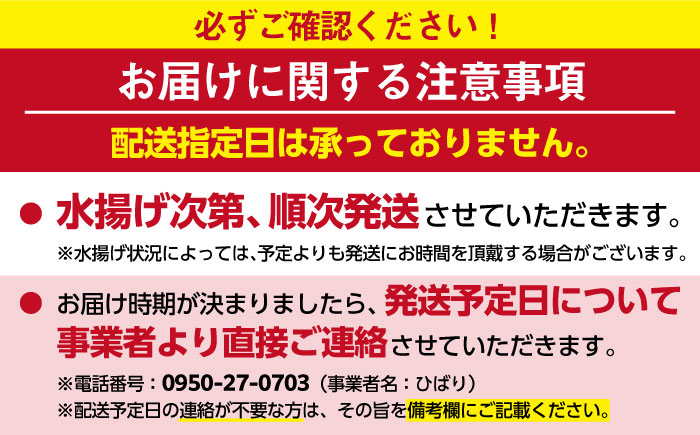 2-3人前 ウチワエビ 800g (5-8尾)【ひばり】[KAA057]/ 長崎 平戸 魚介類 海老 エビ ウチワエビ 季節限定 ご当地 グルメ